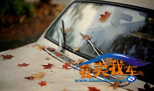 秋季車輛保養常識