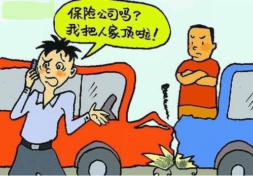 車險種類以及出險後會在哪方面有所賠償 中國汽車交易網