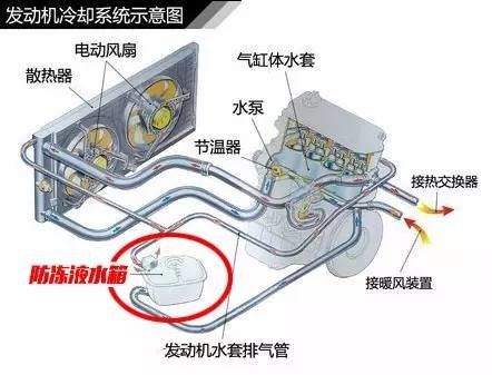 為什麼降溫了，汽車更需要冷卻液？