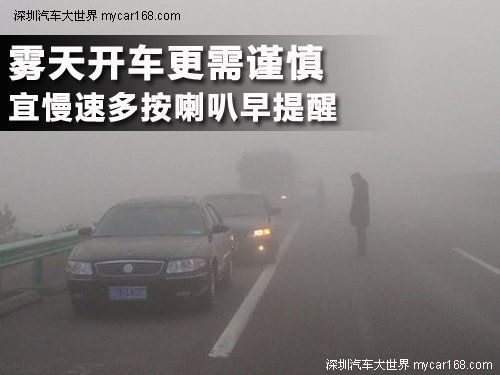 霧天開車更需謹慎 宜慢速多按喇叭早提醒