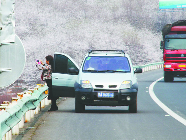 高速路六大行車訣竅 停車前警示避免追尾