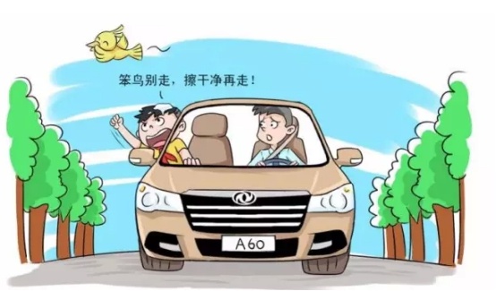 聊一聊關於兒童乘車安全的話題