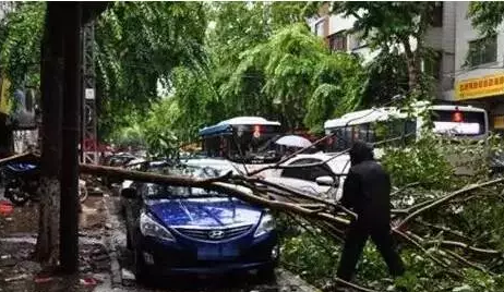 雷雨天開車需要注意事項