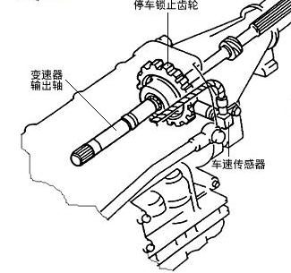 點擊查看原圖