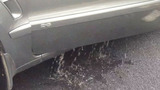 汽車車門漏水