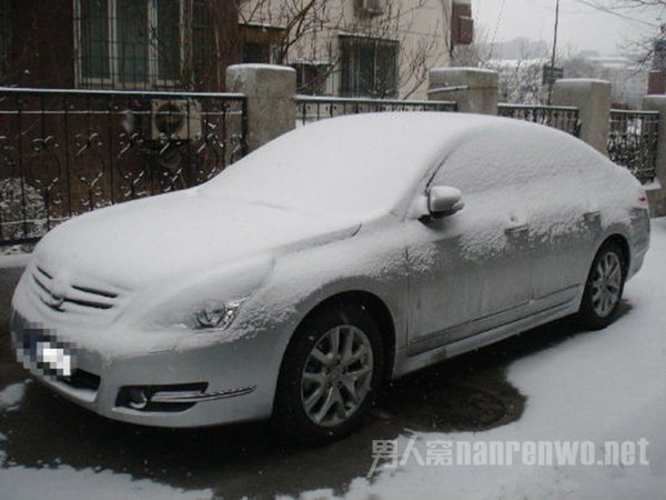 冬季保養白色車
