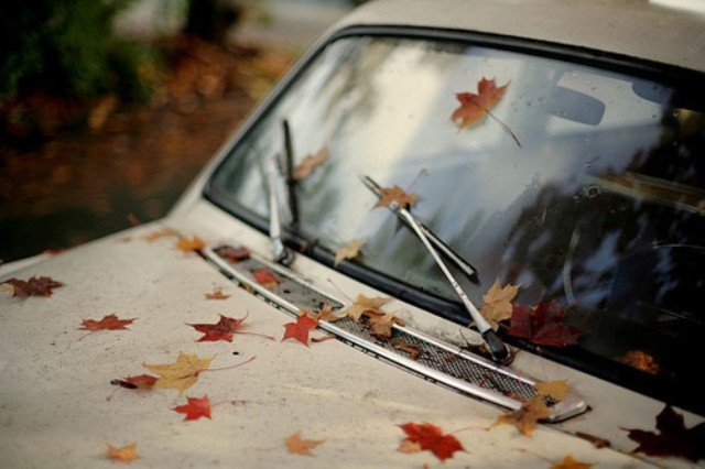 秋季用車
