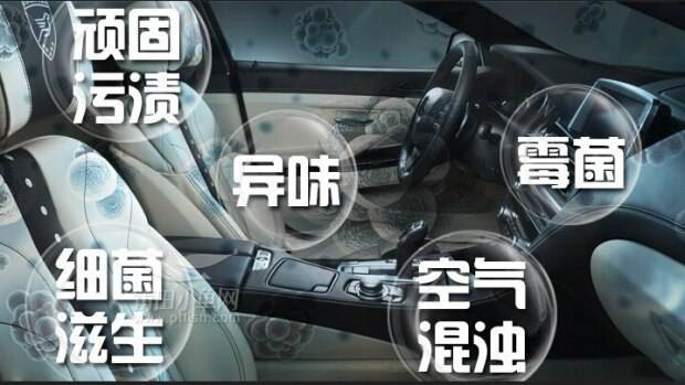 汽車保養注意事項 如何有效去除螨蟲病菌小知識